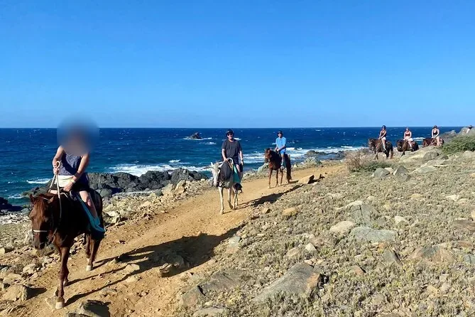 Riders on horseback on a coastal trail above the sea