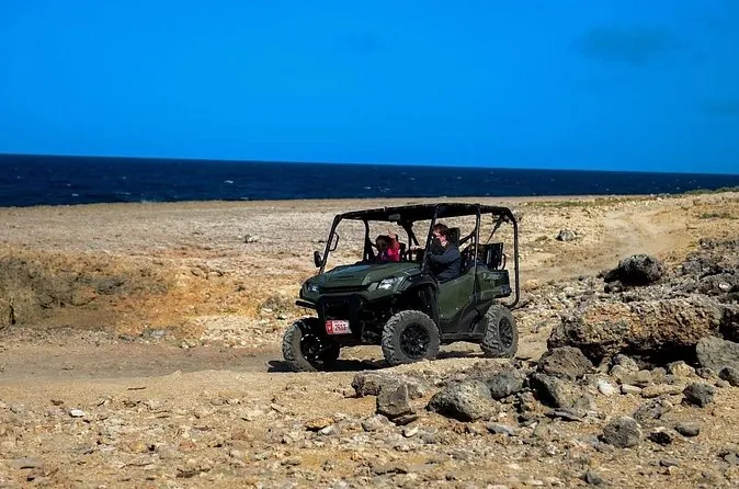 UTVs lined up on a clifftop above the sea on Aruba's north coast